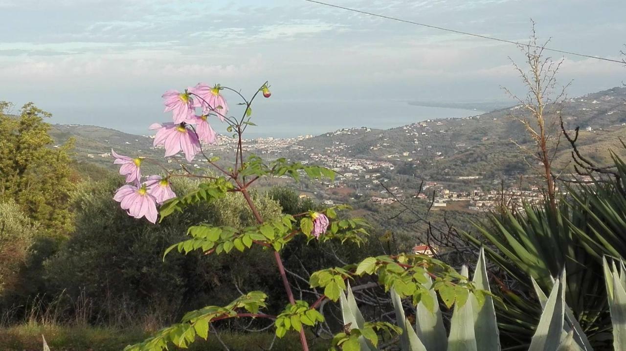 Casale San Martino Acomodação com café da manhã Laureana Cilento Exterior foto